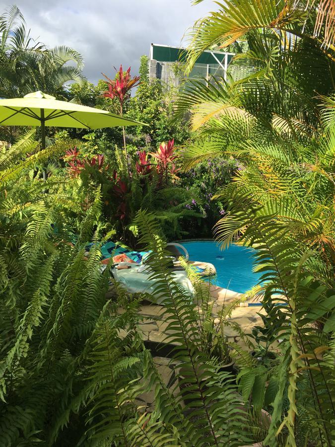 Le Chalet Dazae La Riviere Saint-Louis Ngoại thất bức ảnh