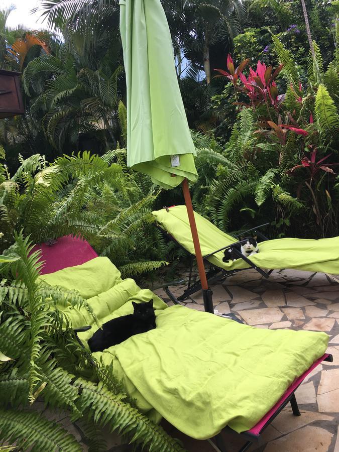 Le Chalet Dazae La Riviere Saint-Louis Ngoại thất bức ảnh